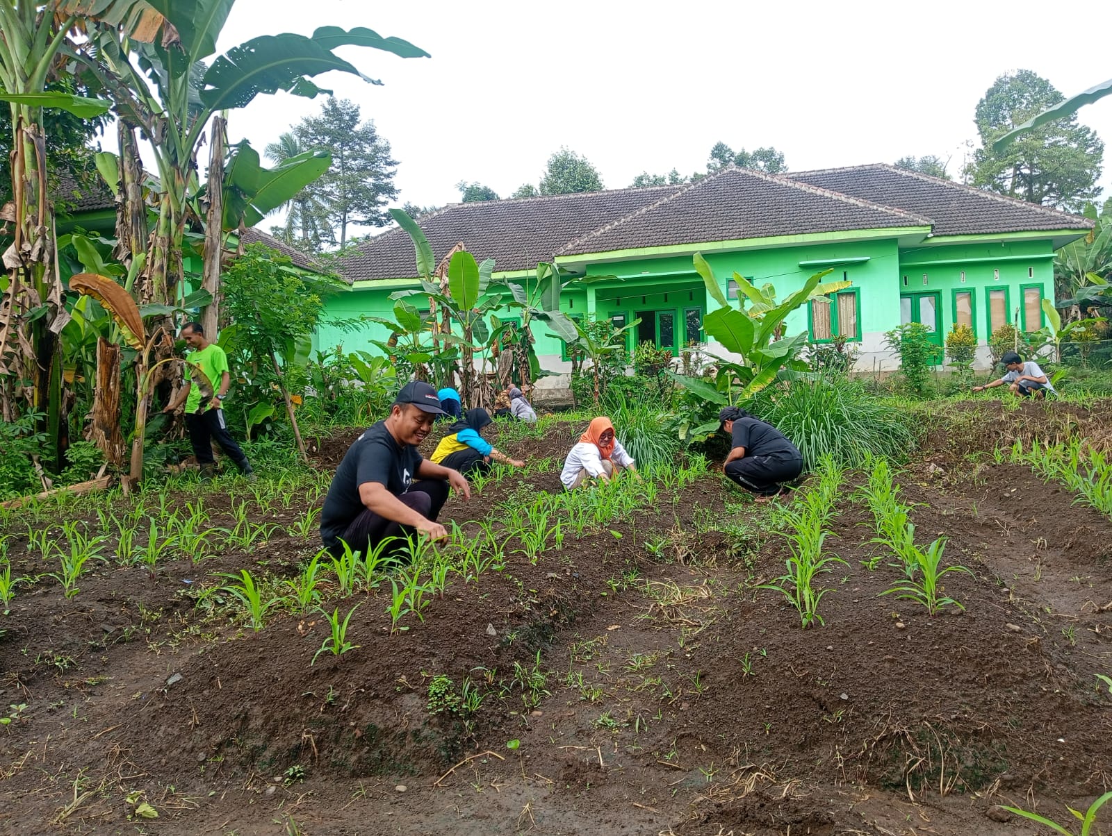 Jumat Bersih, Pegawai Kecamatan Senduro Bersihkan Kebun Belakang Kantor