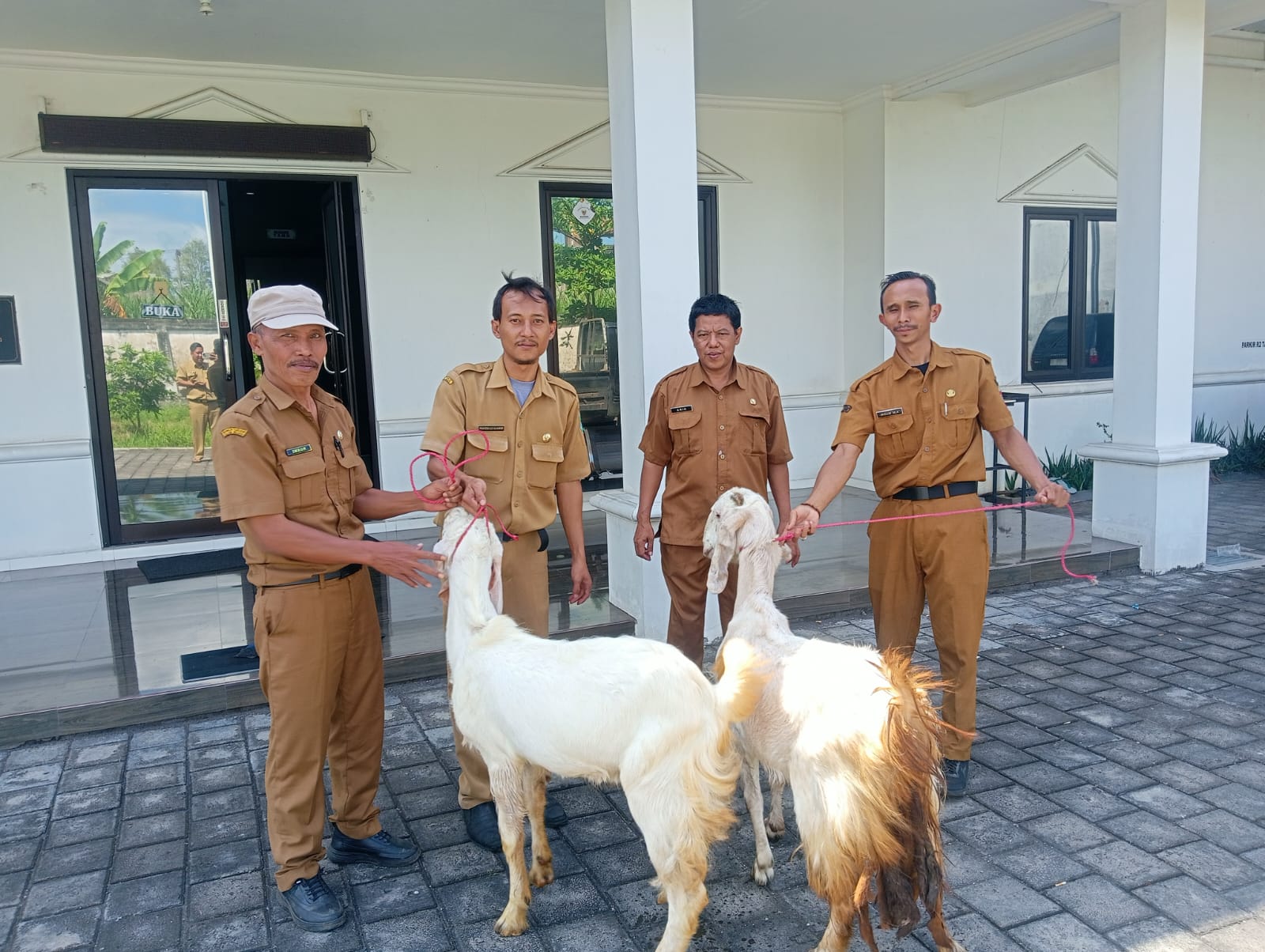 Sinergi Sosial, Staf Kecamatan Senduro Serahkan Dua Ekor Kambing Kurban ke BAZNAS Lumajang